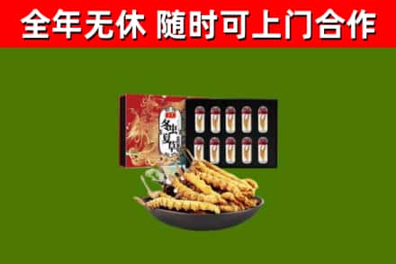 越秀烟酒回收冬虫夏草礼盒.jpg